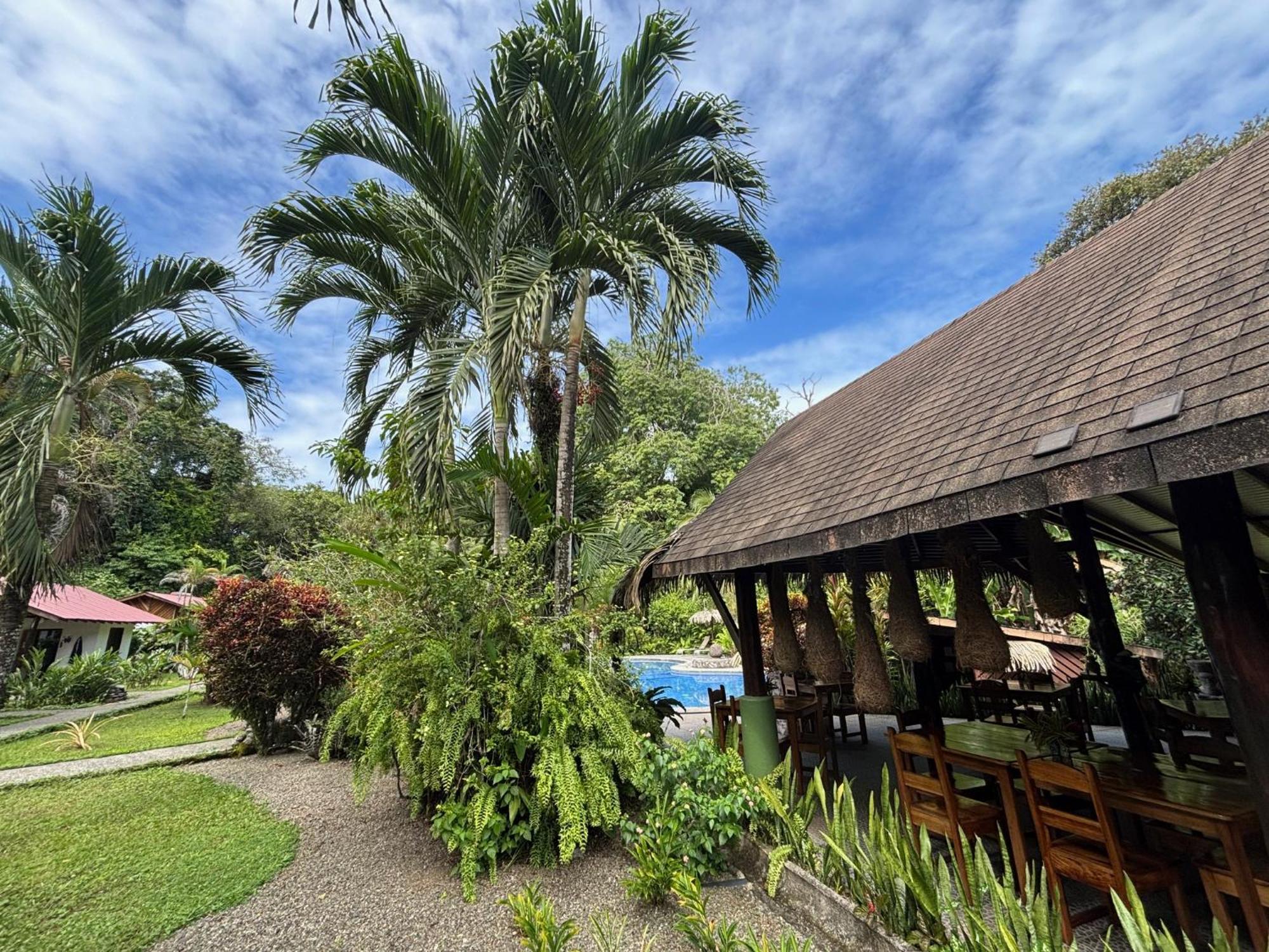 Hotel Suizo Loco Lodge & Resort Cahuita Eksteriør billede