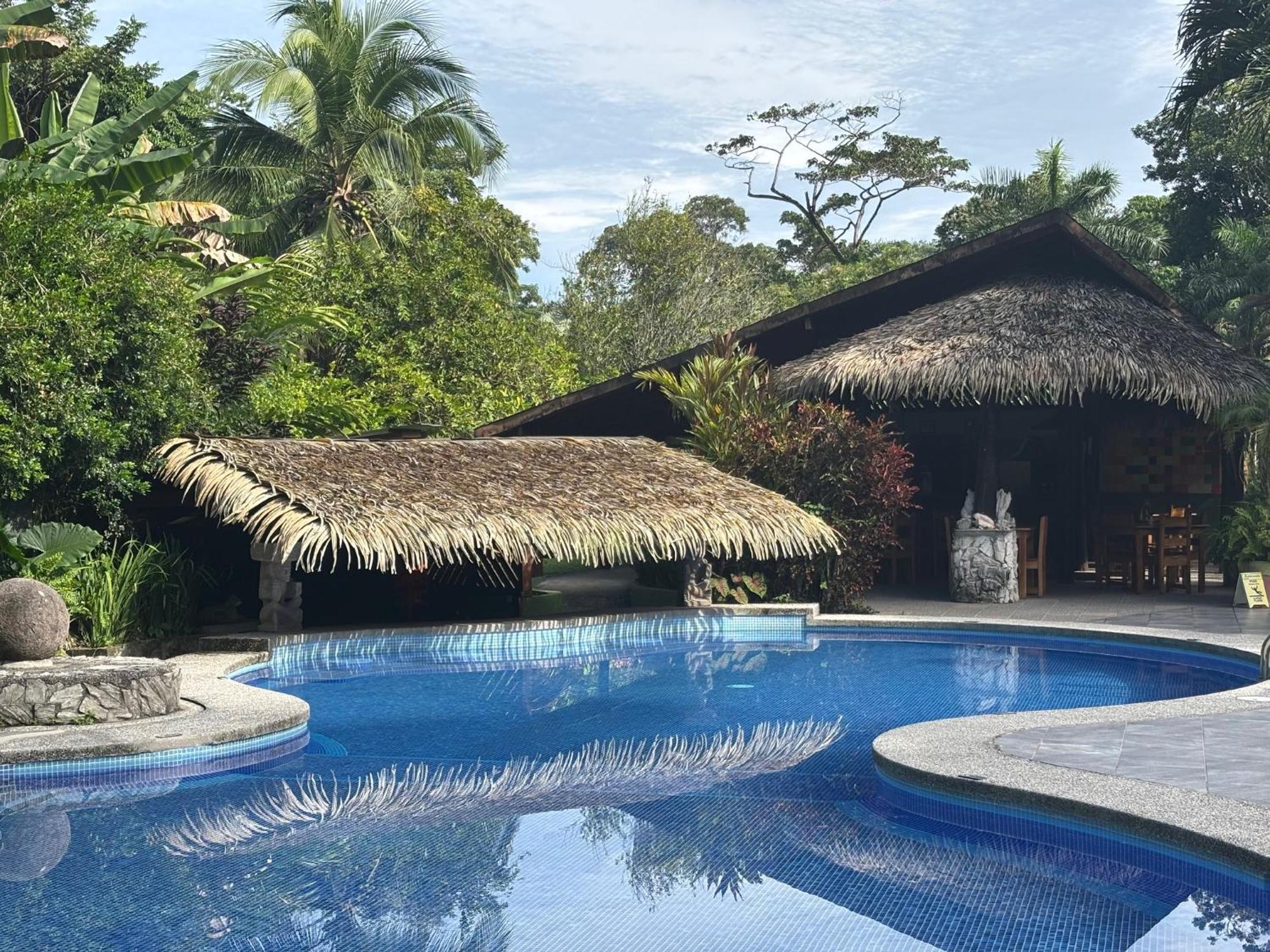 Hotel Suizo Loco Lodge & Resort Cahuita Eksteriør billede
