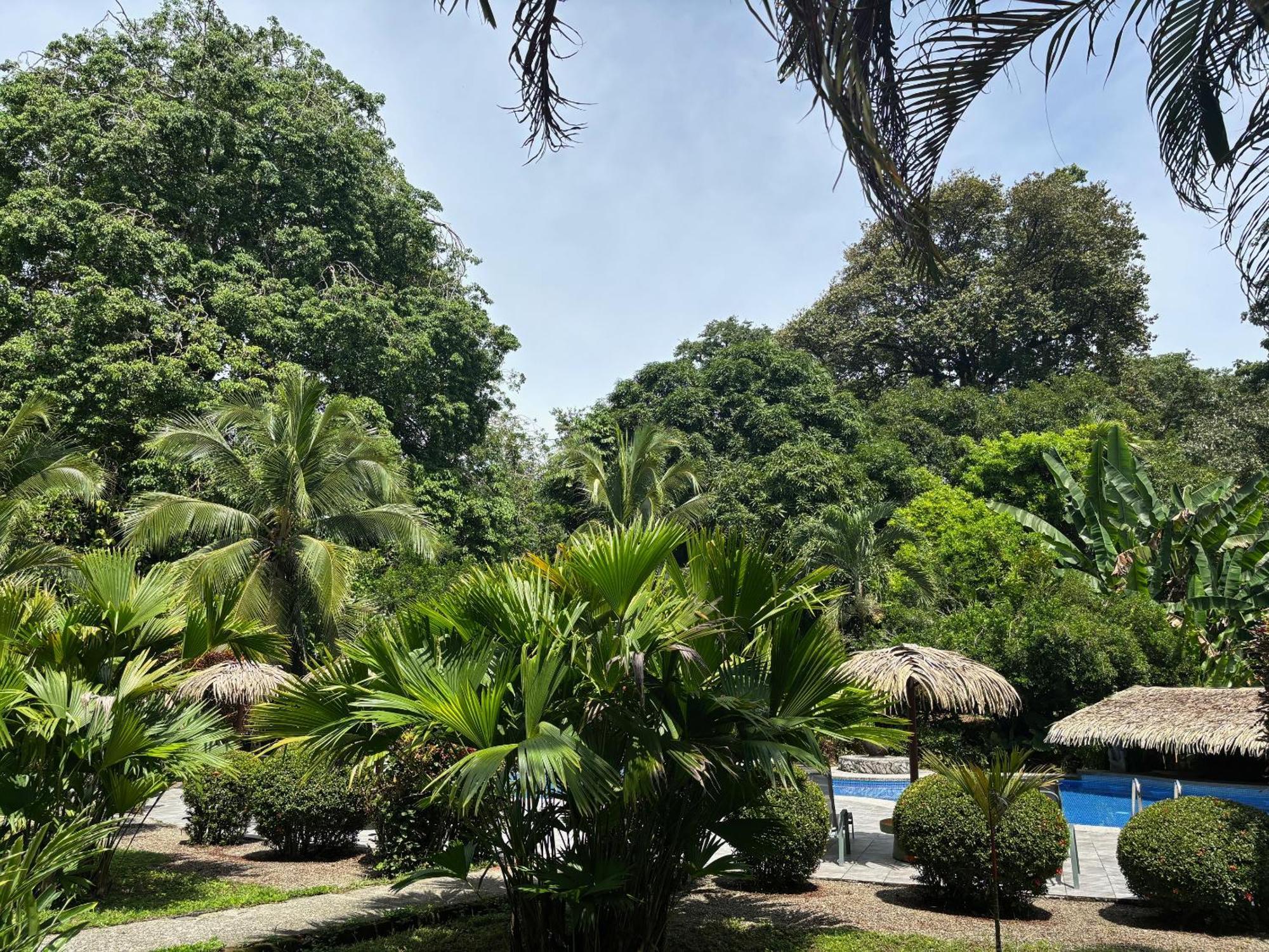 Hotel Suizo Loco Lodge & Resort Cahuita Eksteriør billede