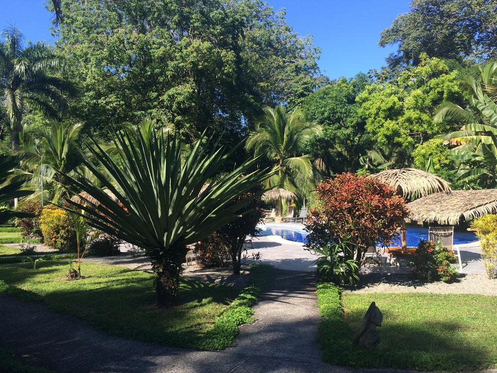 Hotel Suizo Loco Lodge & Resort Cahuita Værelse billede