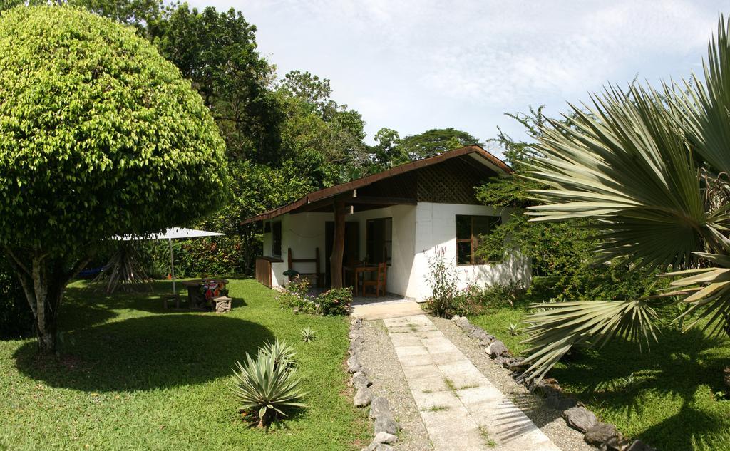Hotel Suizo Loco Lodge & Resort Cahuita Værelse billede
